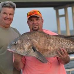 Big Red Fish picture